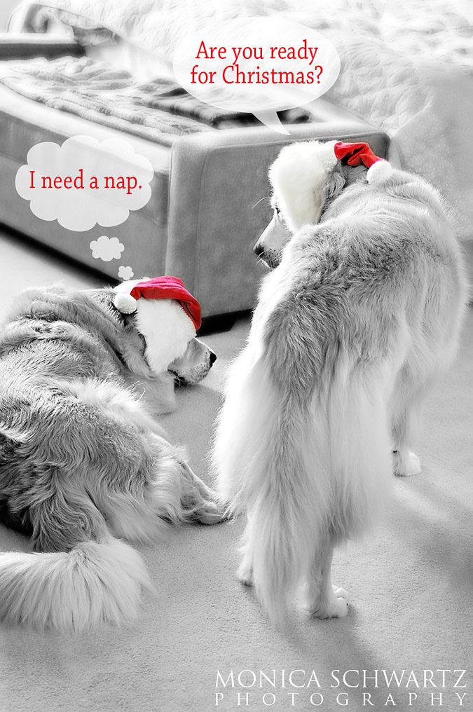 sam buddy the christmas goldens life out of bounds austria charts 2015